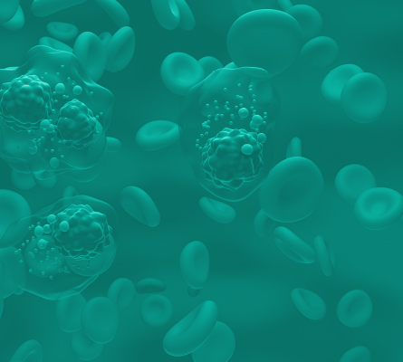 Streamlining Biotherapeutic Development Analytics and Characterization Solutions ACD
