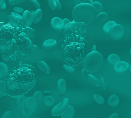 A microscopic image of cells and blood cells, representing the scientific focus of our global clinical trials for novel therapies.