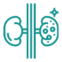 Icon symbolizing kidney cancer research.