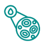 Icon symbolizing Immune Thrombocytopenia (ITP) research.