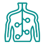 Icon symbolizing lymphoma and the lymphatic system.