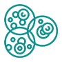Icon for multiple myeloma research.