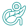 Icon symbolizing pancreatic cancer research.