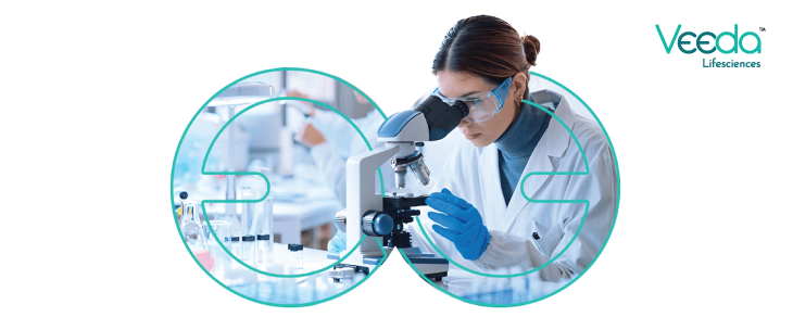 Paliperidone Pharmacokinetic Bioequivalence Study